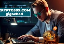 crypto30x.com gigachad