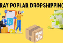 Dropshipping with GrayPoplar