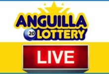 Anguila de la 10